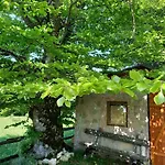 Casa vacanze Montecasa