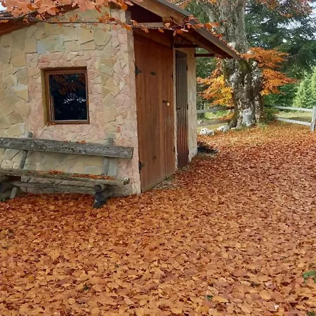 Montecasa *